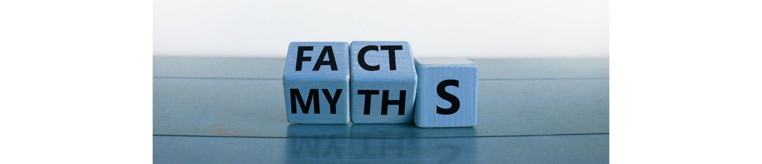 Article cover for "Top 10 Myths About Israel and the Truth Behind Them" with blocks spelling out facts and myths.